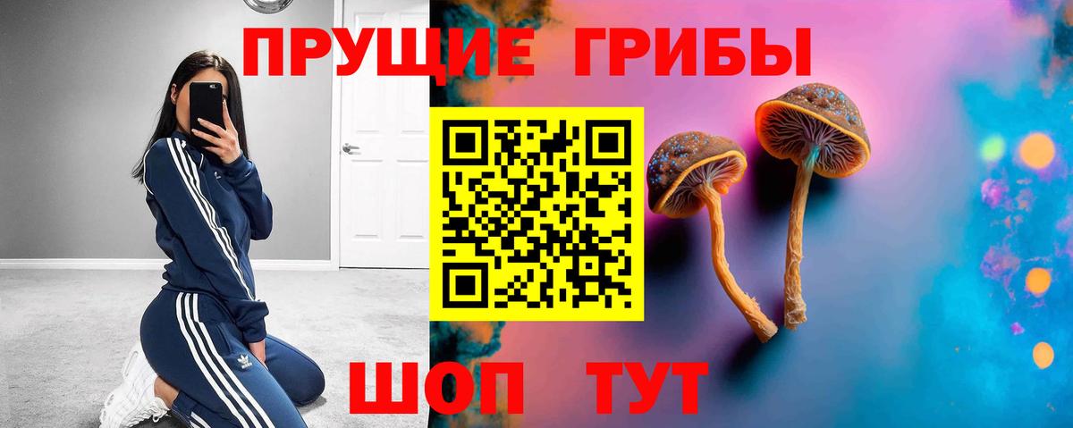 Псилоцибиновые грибы ЛСД Янаул
